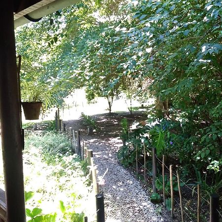 Andelomi Nature'S Rest Стормсривиер Екстериор снимка