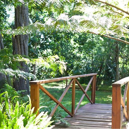 Andelomi Nature'S Rest Стормсривиер Екстериор снимка