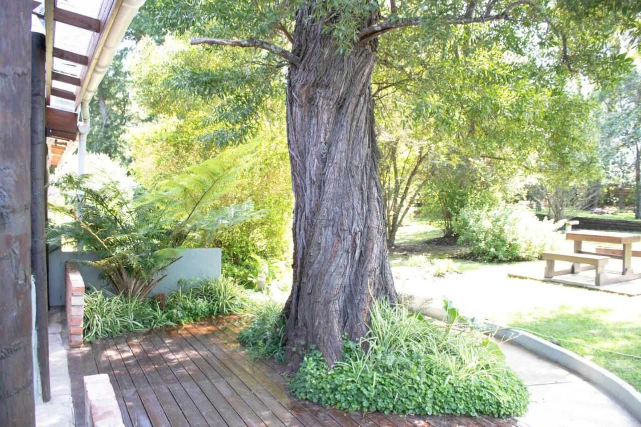 Andelomi Nature'S Rest Стормсривиер Екстериор снимка