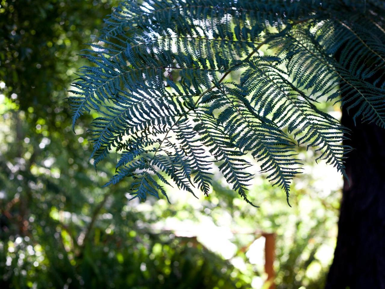 Andelomi Nature'S Rest Стормсривиер Екстериор снимка